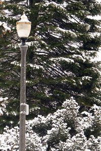 Preview wallpaper lantern, park, trees, winter