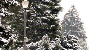 Preview wallpaper lantern, park, trees, winter