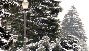 Preview wallpaper lantern, park, trees, winter