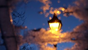 Preview wallpaper lantern, puddle, reflection, asphalt