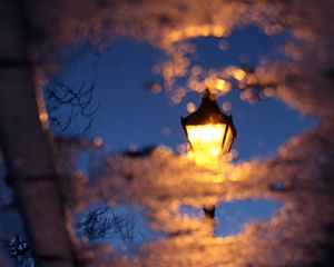 Preview wallpaper lantern, puddle, reflection, asphalt