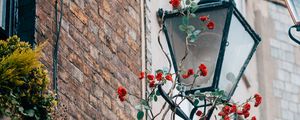 Preview wallpaper lantern, rose, flowers, decor
