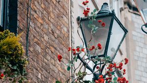 Preview wallpaper lantern, rose, flowers, decor