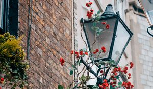 Preview wallpaper lantern, rose, flowers, decor
