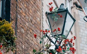 Preview wallpaper lantern, rose, flowers, decor