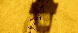 Preview wallpaper lantern, shadow, wall, branch, yellow