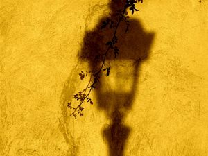 Preview wallpaper lantern, shadow, wall, branch, yellow