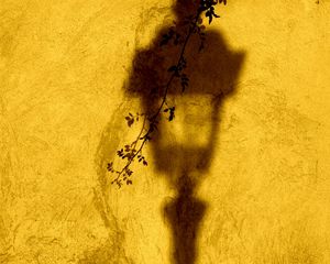 Preview wallpaper lantern, shadow, wall, branch, yellow