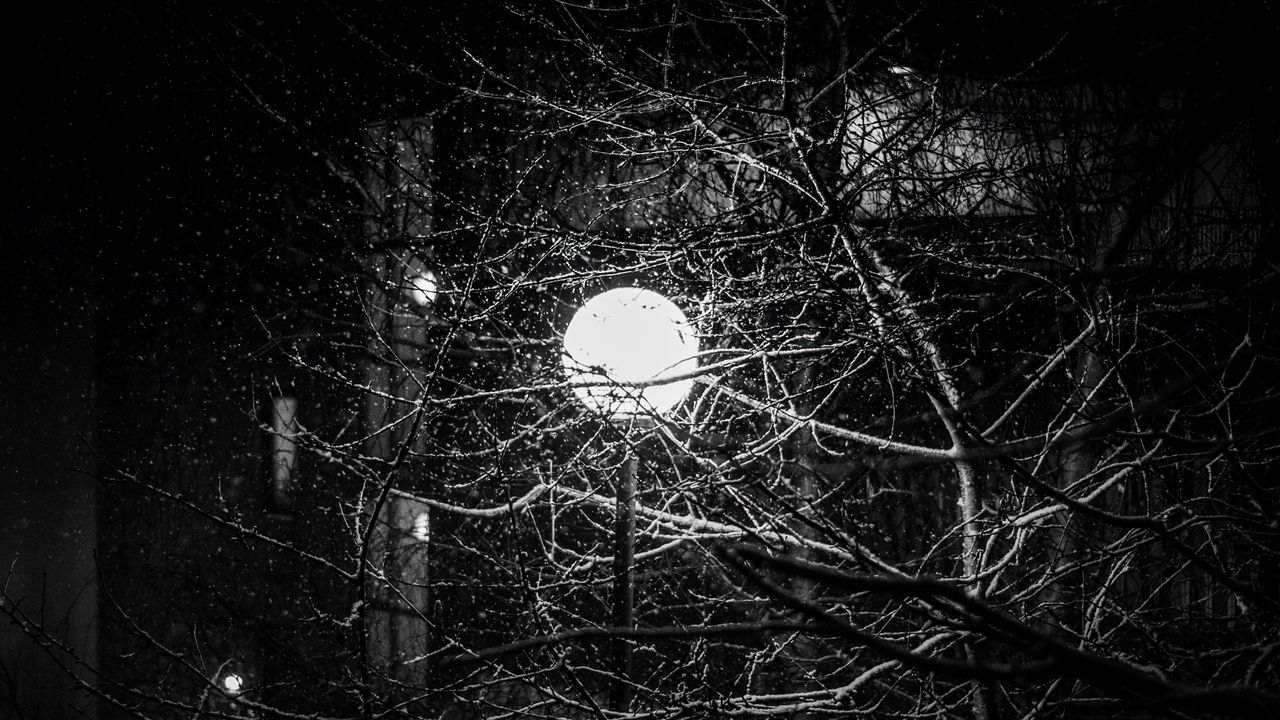 Wallpaper lantern, snow, branches, tree, dark