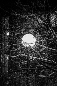 Preview wallpaper lantern, snow, branches, tree, dark