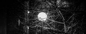 Preview wallpaper lantern, snow, branches, tree, dark