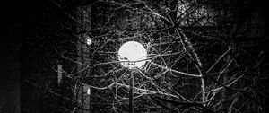 Preview wallpaper lantern, snow, branches, tree, dark