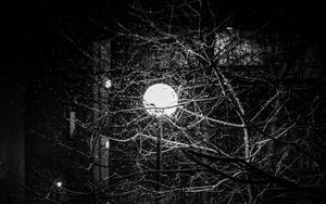 Preview wallpaper lantern, snow, branches, tree, dark