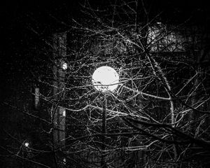 Preview wallpaper lantern, snow, branches, tree, dark