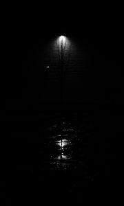 Preview wallpaper lantern, tree, glow, bw, black