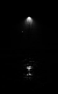 Preview wallpaper lantern, tree, glow, bw, black