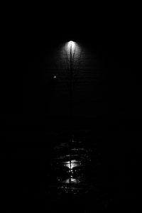 Preview wallpaper lantern, tree, glow, bw, black