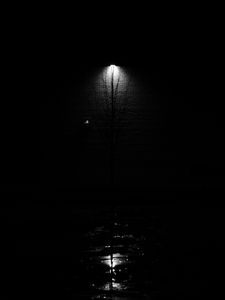 Preview wallpaper lantern, tree, glow, bw, black