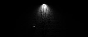 Preview wallpaper lantern, tree, glow, bw, black