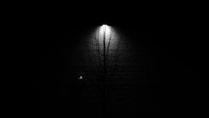 Preview wallpaper lantern, tree, glow, bw, black