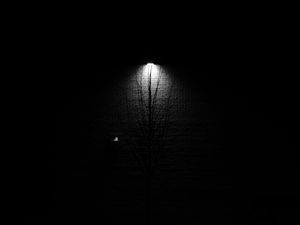 Preview wallpaper lantern, tree, glow, bw, black