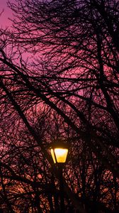 Preview wallpaper lantern, trees, dusk, sunset, dark