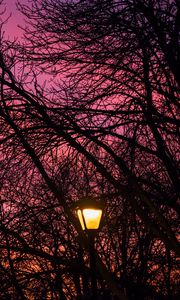 Preview wallpaper lantern, trees, dusk, sunset, dark
