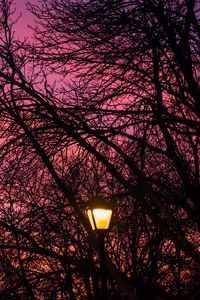 Preview wallpaper lantern, trees, dusk, sunset, dark
