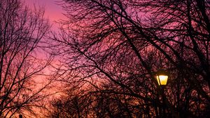 Preview wallpaper lantern, trees, dusk, sunset, dark