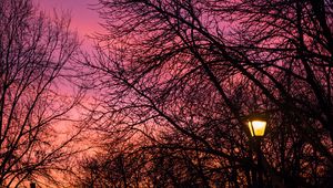 Preview wallpaper lantern, trees, dusk, sunset, dark
