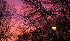 Preview wallpaper lantern, trees, dusk, sunset, dark