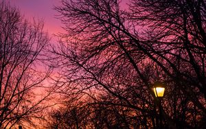 Preview wallpaper lantern, trees, dusk, sunset, dark