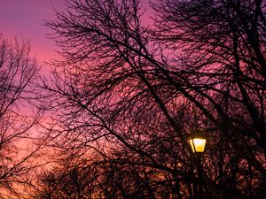 Preview wallpaper lantern, trees, dusk, sunset, dark