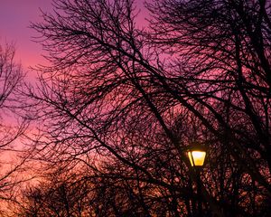 Preview wallpaper lantern, trees, dusk, sunset, dark