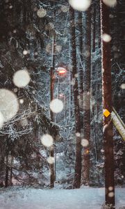 Preview wallpaper lantern, trees, snow, winter