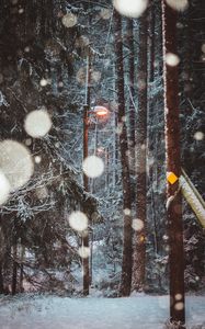 Preview wallpaper lantern, trees, snow, winter