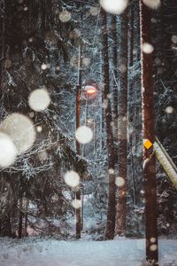 Preview wallpaper lantern, trees, snow, winter