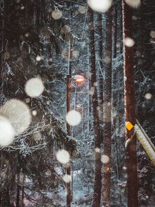 Preview wallpaper lantern, trees, snow, winter
