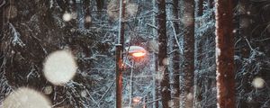 Preview wallpaper lantern, trees, snow, winter