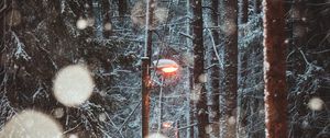 Preview wallpaper lantern, trees, snow, winter