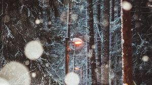 Preview wallpaper lantern, trees, snow, winter