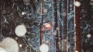 Preview wallpaper lantern, trees, snow, winter