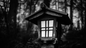 Preview wallpaper lantern, wooden, bushes, dark, black and white