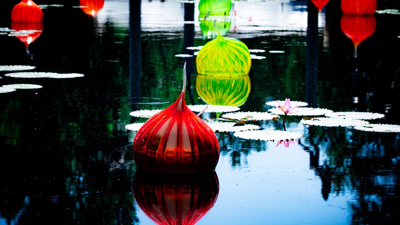 Wallpaper lanterns, lake, flower, water lilies, decor