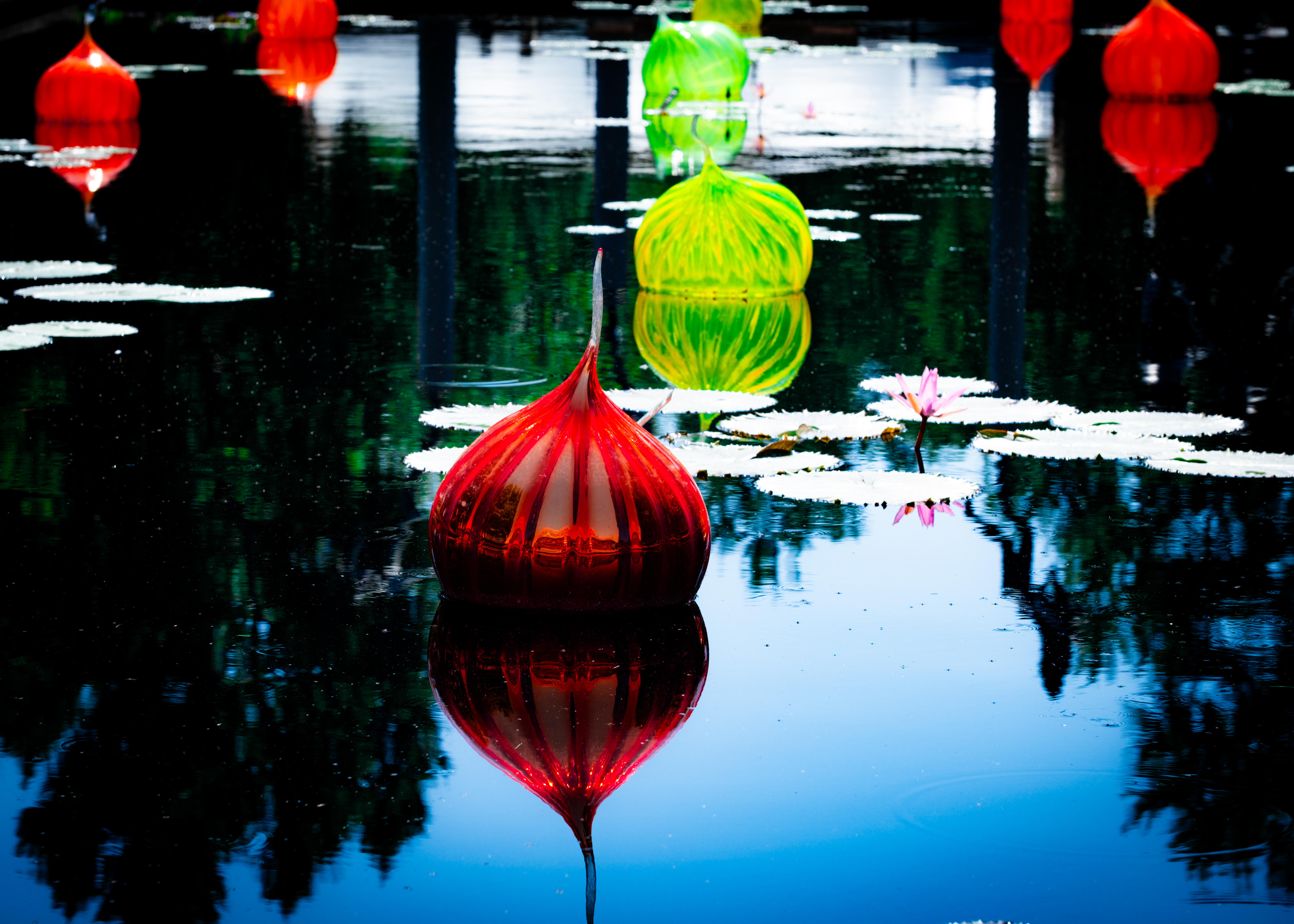 5683x4059 Wallpaper lanterns, lake, flower, water lilies, decor
