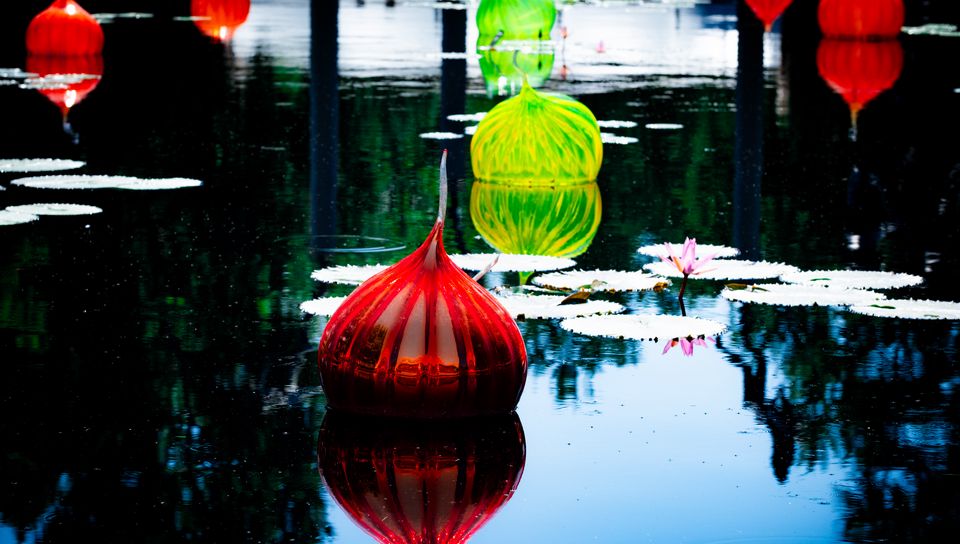 960x544 Wallpaper lanterns, lake, flower, water lilies, decor