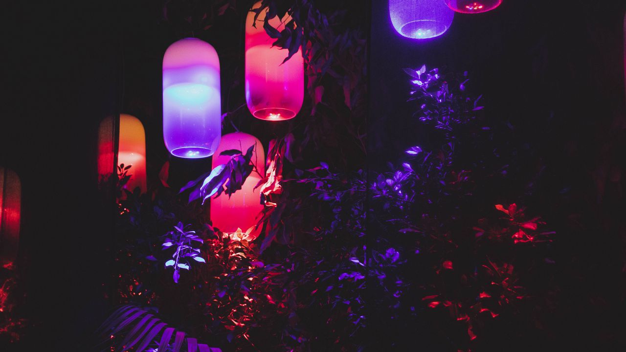 Wallpaper lanterns, light, leaves, purple, dark