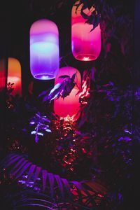 Preview wallpaper lanterns, light, leaves, purple, dark