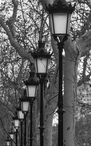 Preview wallpaper lanterns, trees, alley, black and white