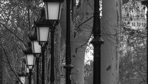 Preview wallpaper lanterns, trees, alley, black and white